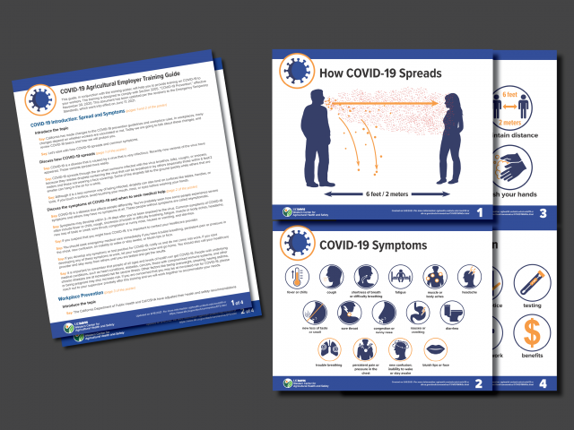Thumbnail images of COVID-19 Employer Training Discussion Guide and Poster in English