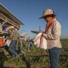A female supervisor takes notes while farmworkers harvest melons