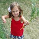 Young girl holding freshly pulled carrot