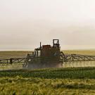 Pesticides Sprayed on Large Field
