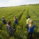 students in wheat field
