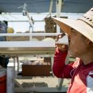 Farmworker drinks water from a paper cone
