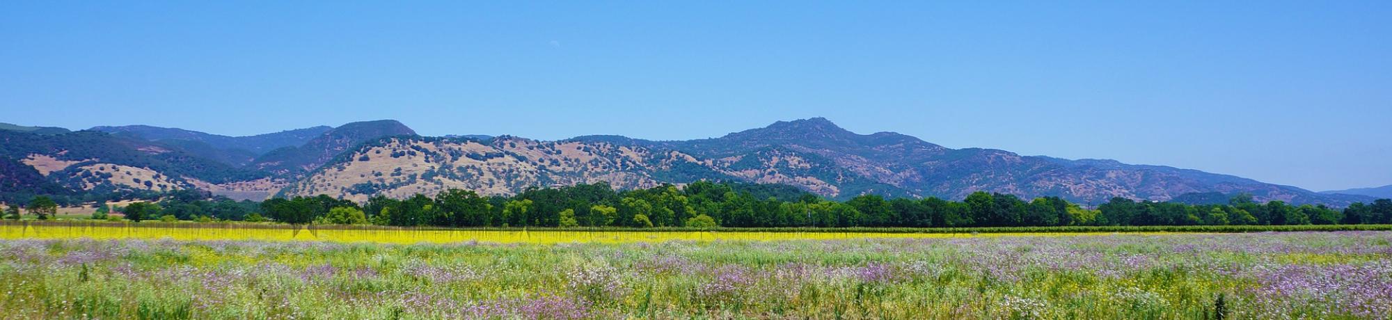 Napa Valley